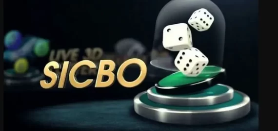 Sicbo 811Bet | 5 motivos para investir e ganhar muito agora!