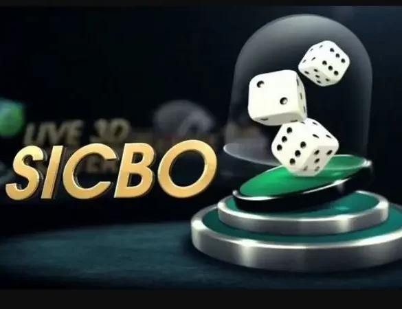Sicbo 811Bet | 5 motivos para investir e ganhar muito agora!
