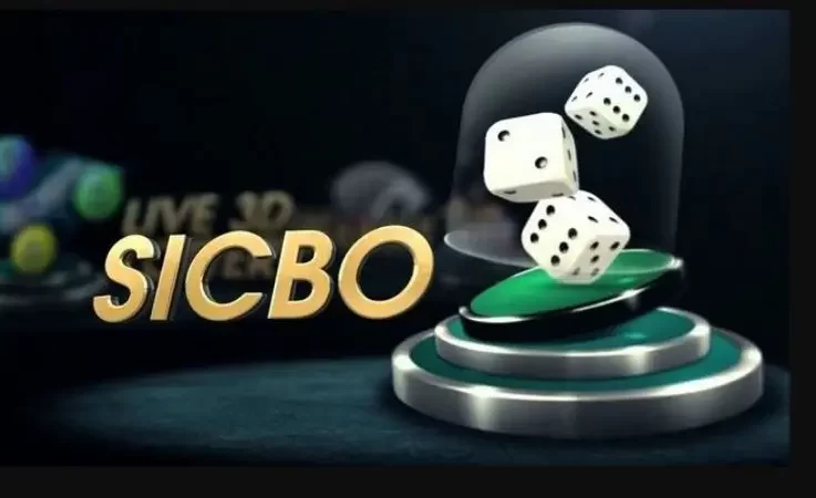 Sicbo 811Bet | 5 motivos para investir e ganhar muito agora!